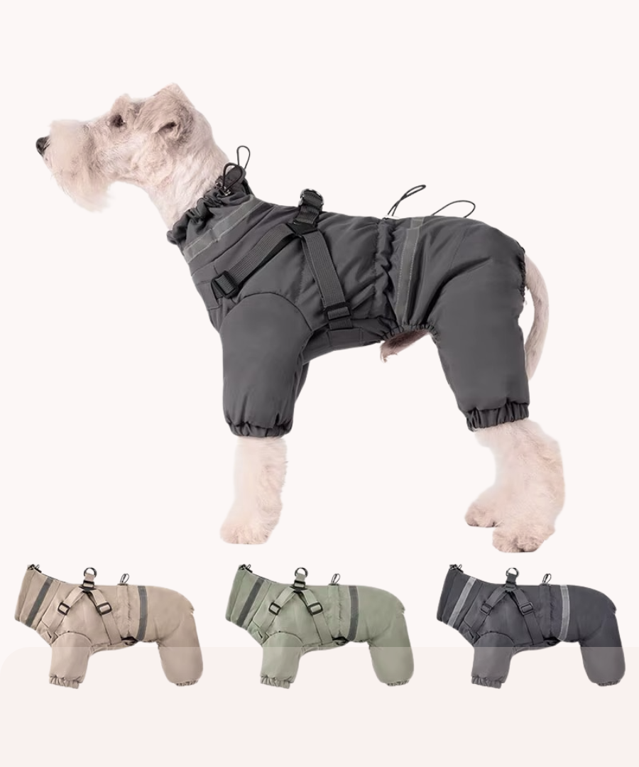 WetWarden™ | sicuro & affidabile
